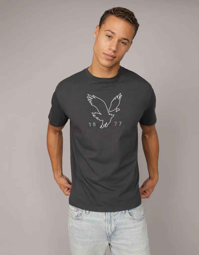 American Eagle AE Logo Graphic T-Shirt